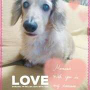 ヒメ日記 2025/04/04 10:09 投稿 木原るり 松戸人妻花壇