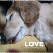 ヒメ日記 2025/04/04 20:12 投稿 木原るり 松戸人妻花壇