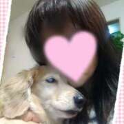 ヒメ日記 2025/04/09 19:47 投稿 木原るり 松戸人妻花壇