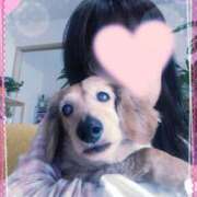 ヒメ日記 2025/04/11 12:45 投稿 木原るり 松戸人妻花壇