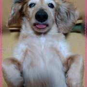 ヒメ日記 2025/04/13 08:42 投稿 木原るり 松戸人妻花壇