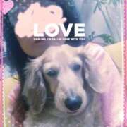 ヒメ日記 2025/05/02 07:51 投稿 木原るり 松戸人妻花壇