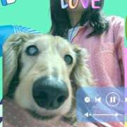 ヒメ日記 2025/05/05 09:02 投稿 木原るり 松戸人妻花壇