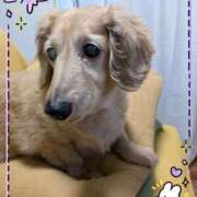 ヒメ日記 2025/05/06 17:09 投稿 木原るり 松戸人妻花壇