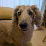 ヒメ日記 2025/05/10 10:24 投稿 木原るり 松戸人妻花壇