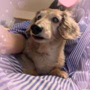 ヒメ日記 2025/05/11 17:18 投稿 木原るり 松戸人妻花壇