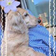 ヒメ日記 2025/05/13 12:58 投稿 木原るり 松戸人妻花壇