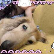 ヒメ日記 2025/05/15 10:07 投稿 木原るり 松戸人妻花壇