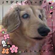 ヒメ日記 2025/05/18 08:28 投稿 木原るり 松戸人妻花壇