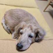 ヒメ日記 2025/05/19 08:09 投稿 木原るり 松戸人妻花壇