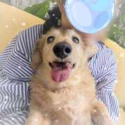 ヒメ日記 2025/05/22 09:35 投稿 木原るり 松戸人妻花壇