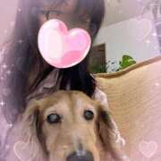 ヒメ日記 2025/05/23 23:27 投稿 木原るり 松戸人妻花壇