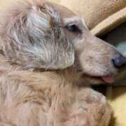 ヒメ日記 2025/05/27 00:29 投稿 木原るり 松戸人妻花壇