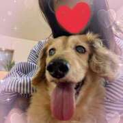 ヒメ日記 2025/05/29 17:29 投稿 木原るり 松戸人妻花壇