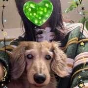 ヒメ日記 2025/05/31 07:46 投稿 木原るり 松戸人妻花壇