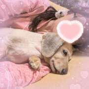 ヒメ日記 2025/06/04 06:20 投稿 木原るり 松戸人妻花壇