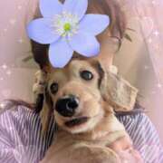 ヒメ日記 2025/06/10 05:22 投稿 木原るり 松戸人妻花壇