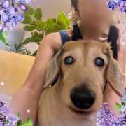 ヒメ日記 2025/06/18 11:20 投稿 木原るり 松戸人妻花壇