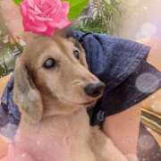 ヒメ日記 2025/06/23 09:53 投稿 木原るり 松戸人妻花壇