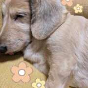 ヒメ日記 2025/06/24 06:52 投稿 木原るり 松戸人妻花壇