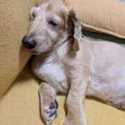 ヒメ日記 2025/06/26 06:23 投稿 木原るり 松戸人妻花壇