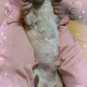 ヒメ日記 2025/06/28 05:44 投稿 木原るり 松戸人妻花壇