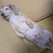 ヒメ日記 2025/06/30 07:04 投稿 木原るり 松戸人妻花壇