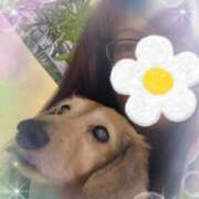 ヒメ日記 2025/07/02 17:50 投稿 木原るり 松戸人妻花壇