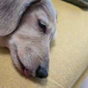 ヒメ日記 2025/07/03 07:09 投稿 木原るり 松戸人妻花壇