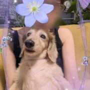 ヒメ日記 2025/07/07 07:18 投稿 木原るり 松戸人妻花壇