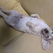 ヒメ日記 2025/07/08 07:54 投稿 木原るり 松戸人妻花壇