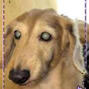 ヒメ日記 2025/07/16 16:07 投稿 木原るり 松戸人妻花壇