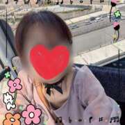 ヒメ日記 2025/07/24 04:43 投稿 木原るり 松戸人妻花壇