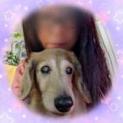 ヒメ日記 2025/07/26 21:17 投稿 木原るり 松戸人妻花壇