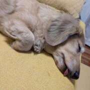 ヒメ日記 2025/08/03 09:53 投稿 木原るり 松戸人妻花壇