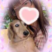 ヒメ日記 2025/08/04 05:10 投稿 木原るり 松戸人妻花壇