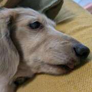 ヒメ日記 2025/08/09 15:48 投稿 木原るり 松戸人妻花壇