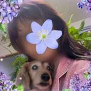 ヒメ日記 2025/08/24 08:16 投稿 木原るり 松戸人妻花壇