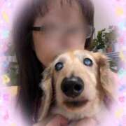 ヒメ日記 2025/08/25 11:54 投稿 木原るり 松戸人妻花壇