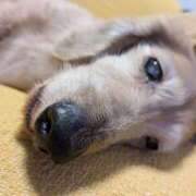 ヒメ日記 2025/09/05 08:09 投稿 木原るり 松戸人妻花壇