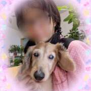 ヒメ日記 2025/09/07 06:47 投稿 木原るり 松戸人妻花壇