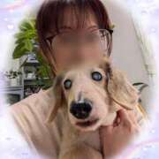 ヒメ日記 2025/09/07 12:47 投稿 木原るり 松戸人妻花壇