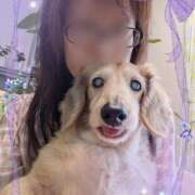 ヒメ日記 2025/09/12 18:03 投稿 木原るり 松戸人妻花壇