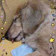 ヒメ日記 2025/09/20 21:32 投稿 木原るり 松戸人妻花壇