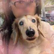 ヒメ日記 2025/09/23 12:03 投稿 木原るり 松戸人妻花壇