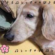 ヒメ日記 2025/10/02 22:59 投稿 木原るり 松戸人妻花壇