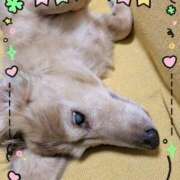 ヒメ日記 2025/10/05 20:29 投稿 木原るり 松戸人妻花壇