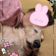 ヒメ日記 2025/10/10 04:30 投稿 木原るり 松戸人妻花壇