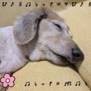 ヒメ日記 2025/10/15 11:08 投稿 木原るり 松戸人妻花壇