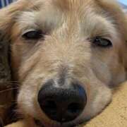 ヒメ日記 2025/10/16 21:23 投稿 木原るり 松戸人妻花壇